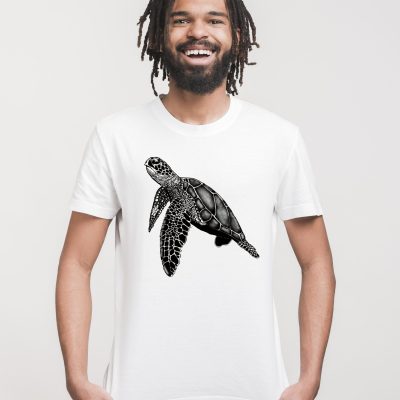turtle copy